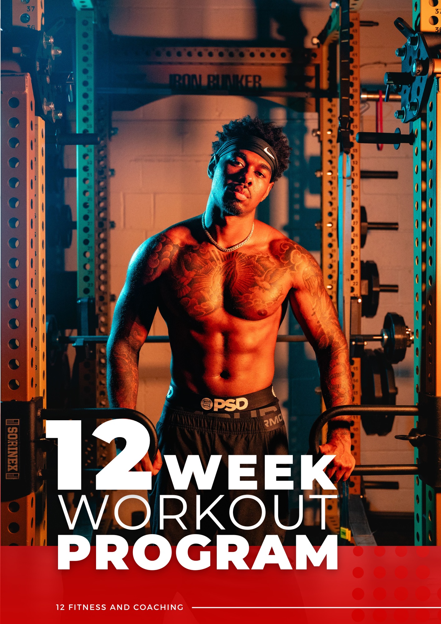 12 WEEK WORKOUT PROGRAM