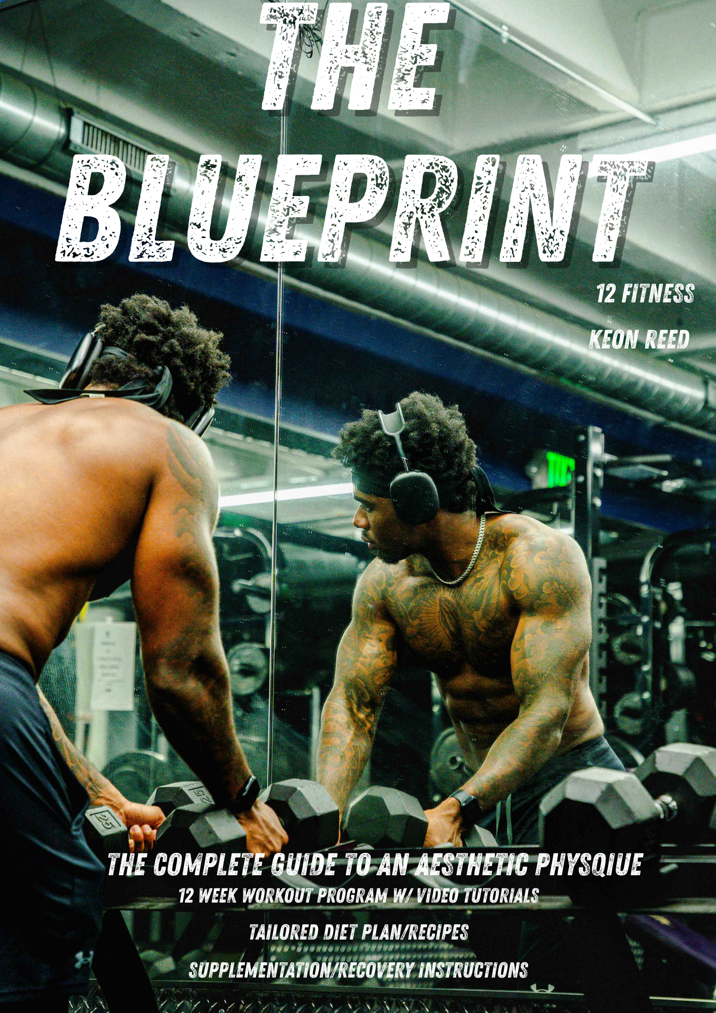 The Blueprint: The Complete Guide to an Aesthetic Physique