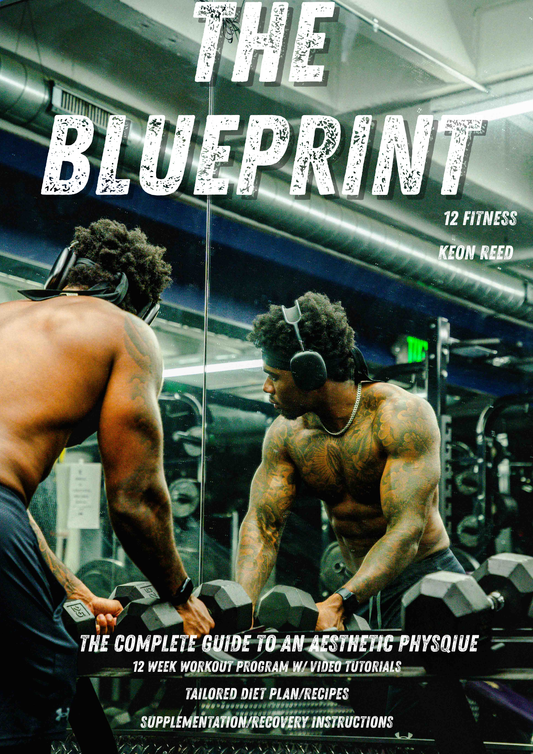 The Blueprint: The Complete Guide to an Aesthetic Physique